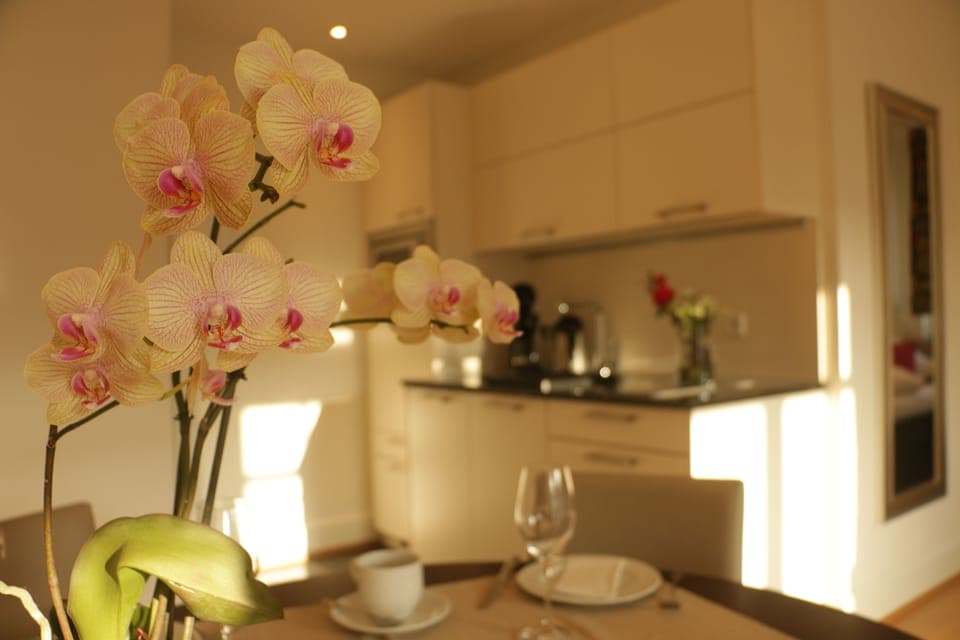 Superior Studio | Private kitchenette | Coffee/tea maker, electric kettle, cleaning supplies, paper towels