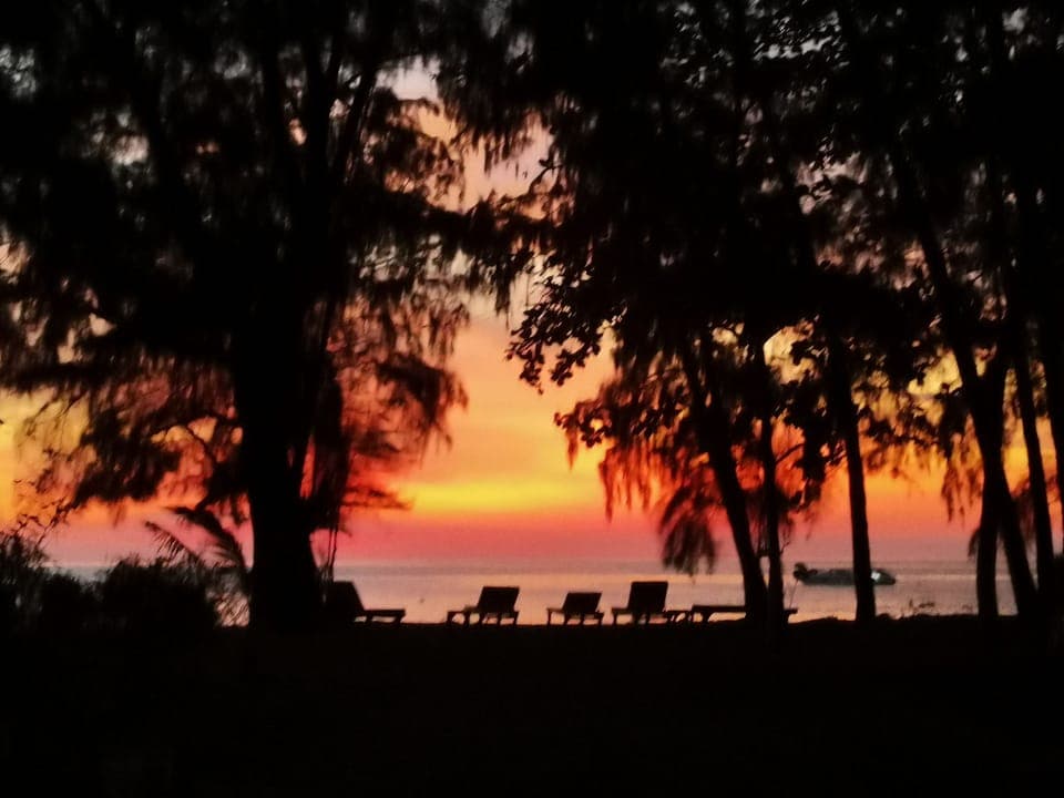 Lunch and dinner served, international cuisine