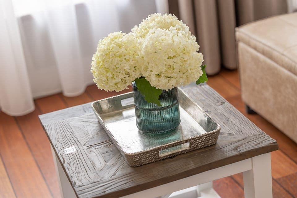 Junior Wellness Suite with private sauna | Living room | Flat-screen TV