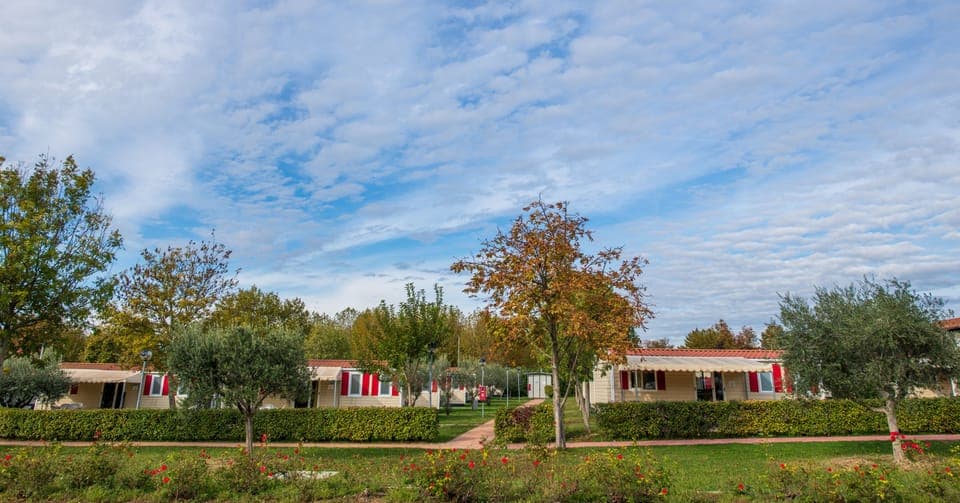 Mobile Home (Maxicaravan) | Terrace/patio