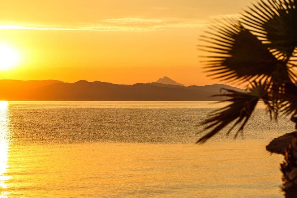 Exclusive Room | Terrace/patio