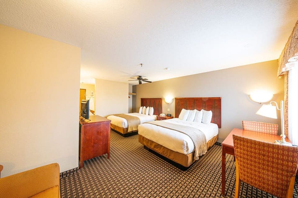 Standard Double Room Single Use, 2 Queen Beds | Desk, laptop workspace, iron/ironing board, free WiFi