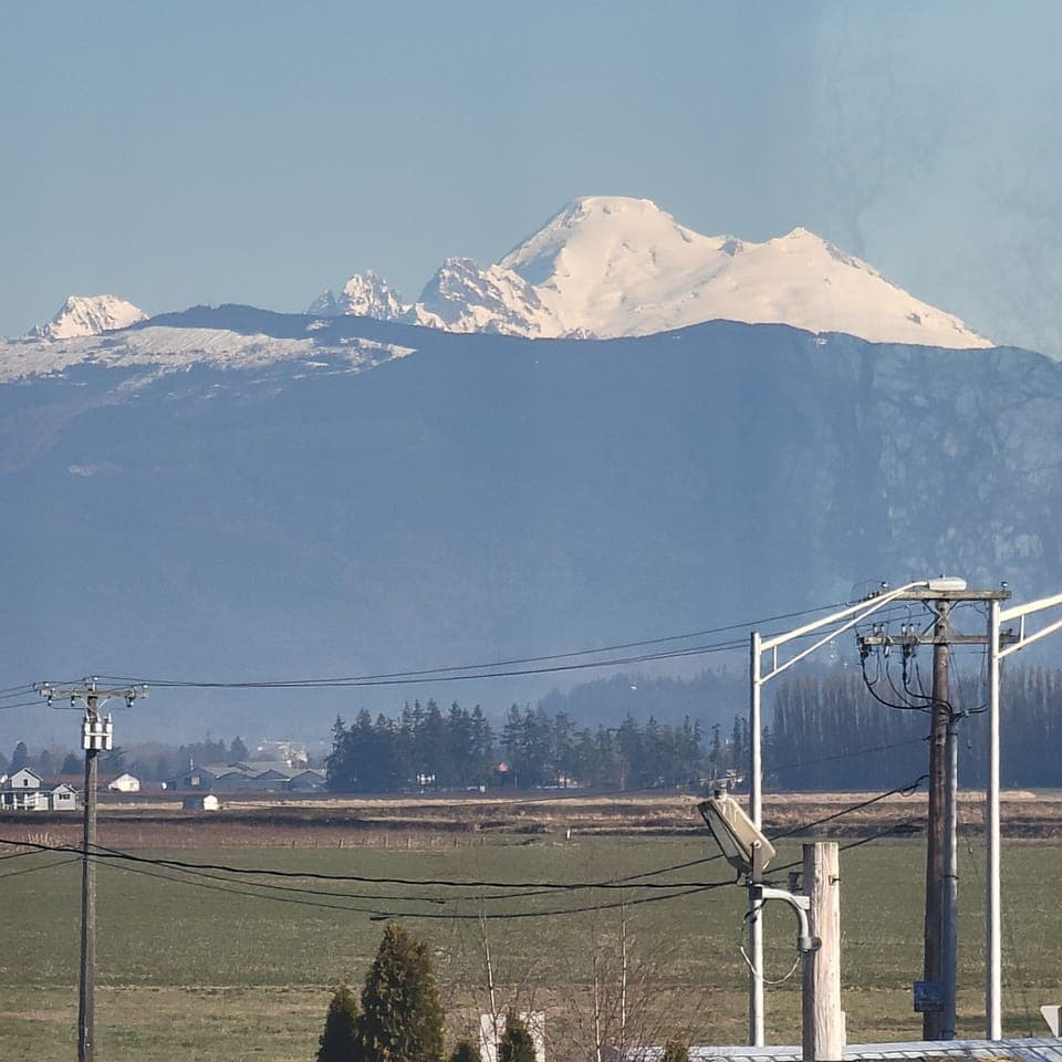 Single Room, 1 Queen Bed, Garden View | Individually decorated, individually furnished, free WiFi, bed sheets