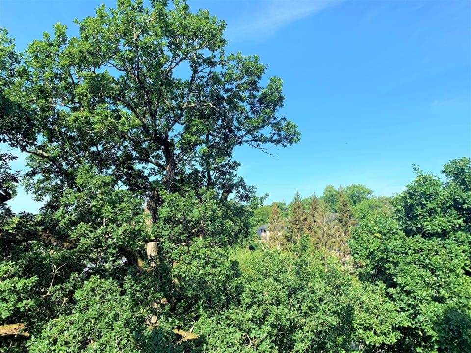 Comfort double room | View from room