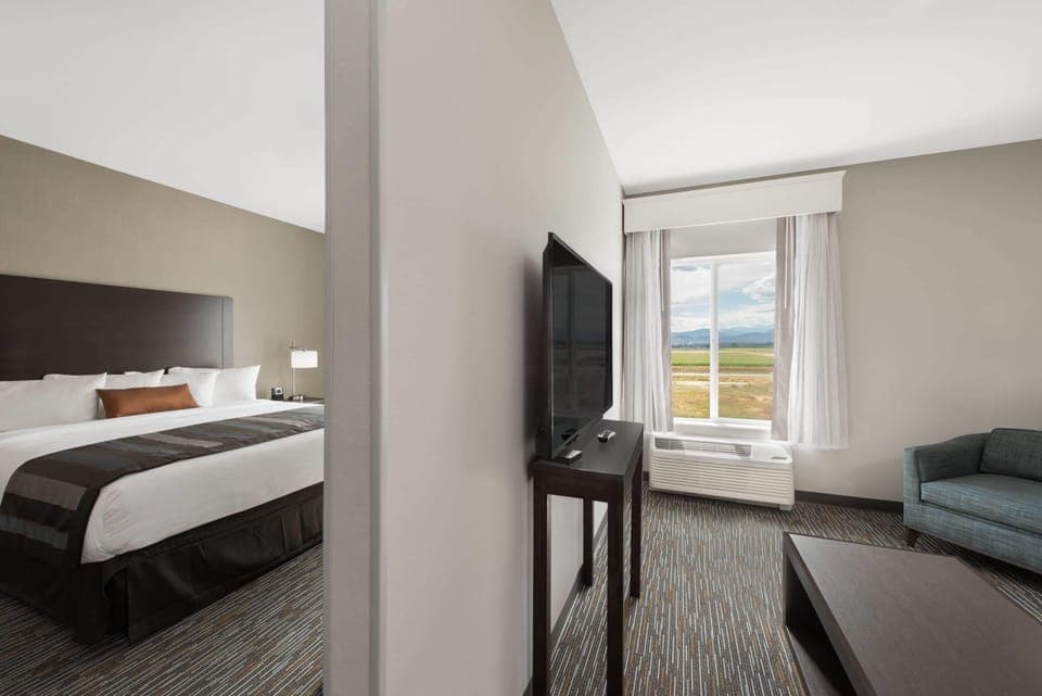 Studio Suite, 1 King Bed, Refrigerator & Microwave | Premium bedding, pillowtop beds, in-room safe, desk