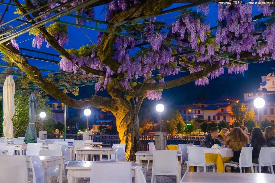 Lunch and dinner served, local cuisine