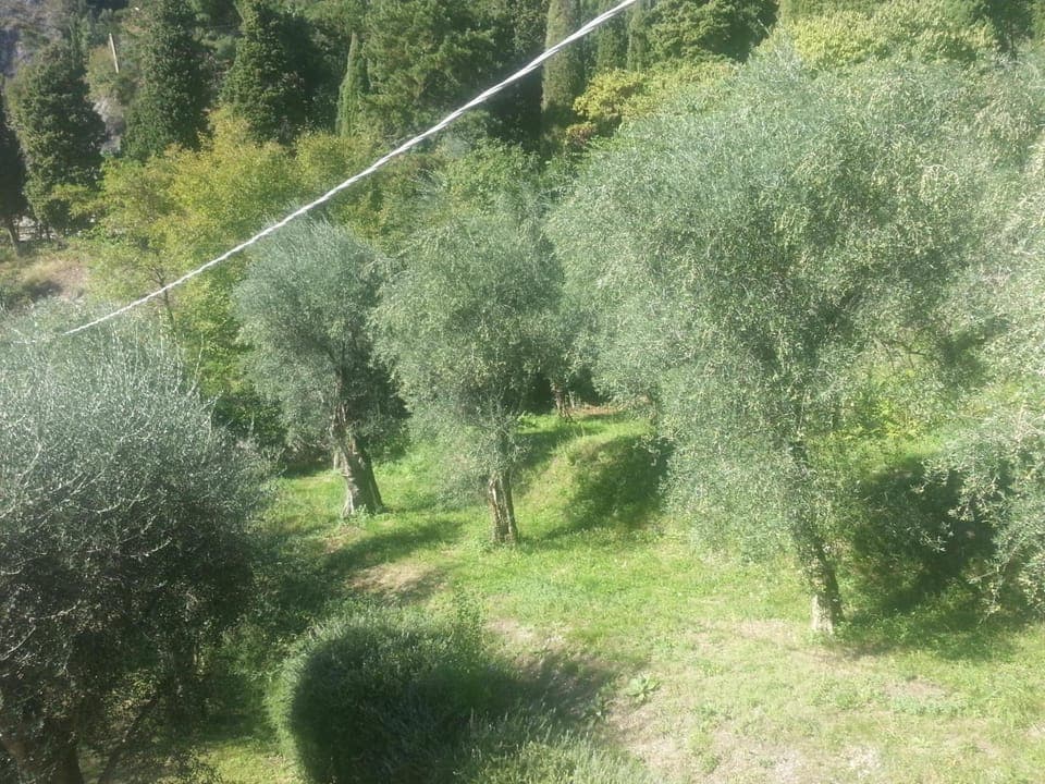 Twin Room, Mountain View | Minibar, in-room safe, desk, blackout drapes