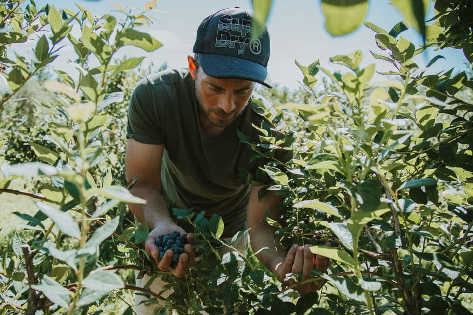 Lunch and dinner served, local cuisine