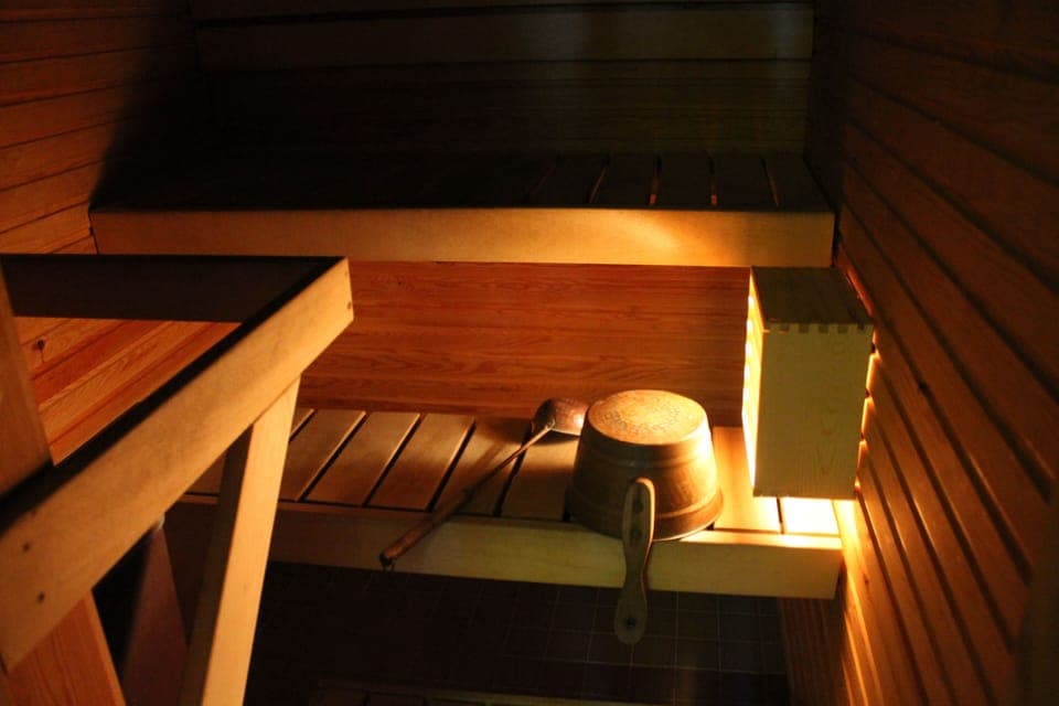 Sauna Standard | Bathroom | Shower, hair dryer, towels