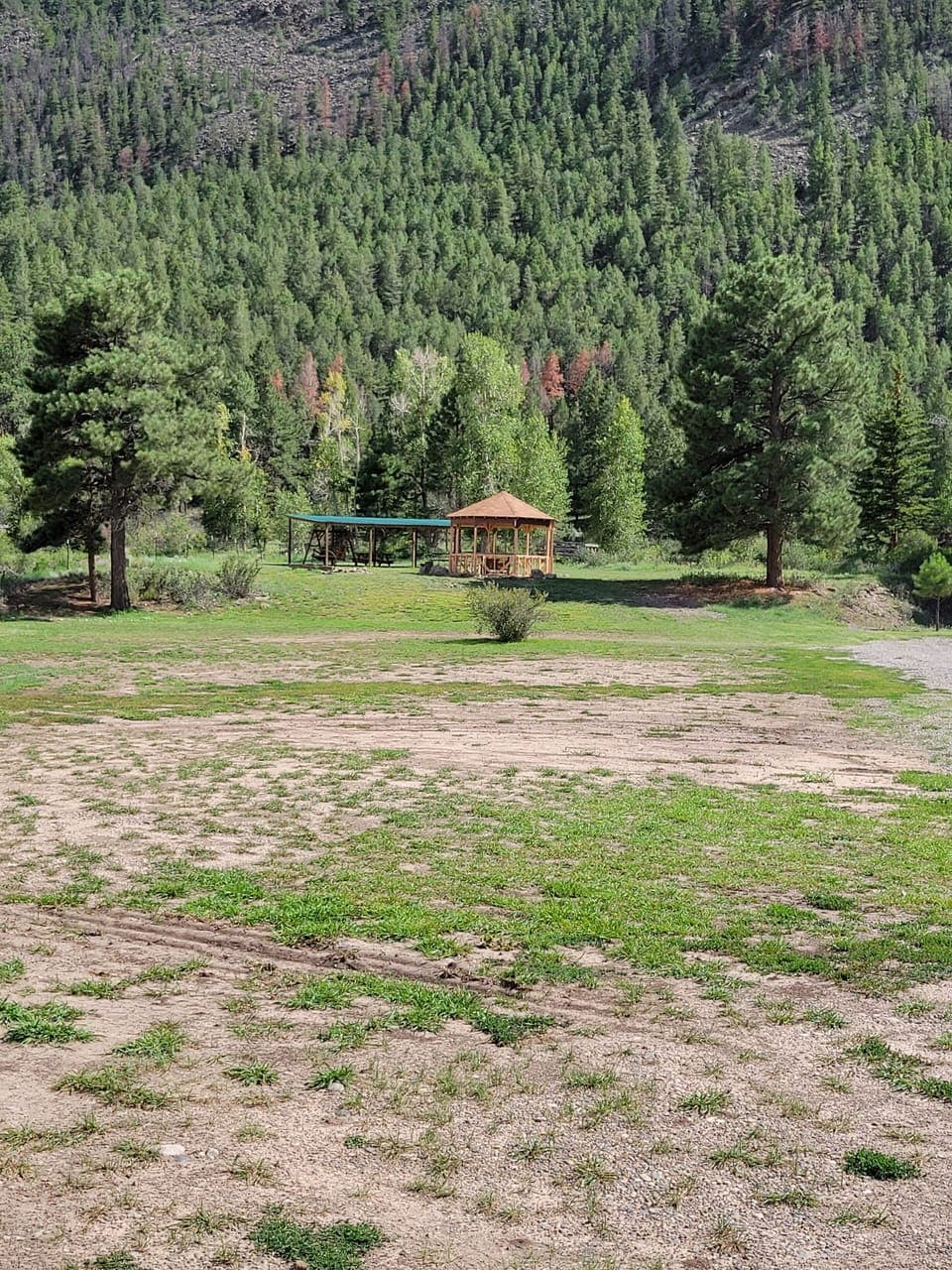 BBQ/picnic area