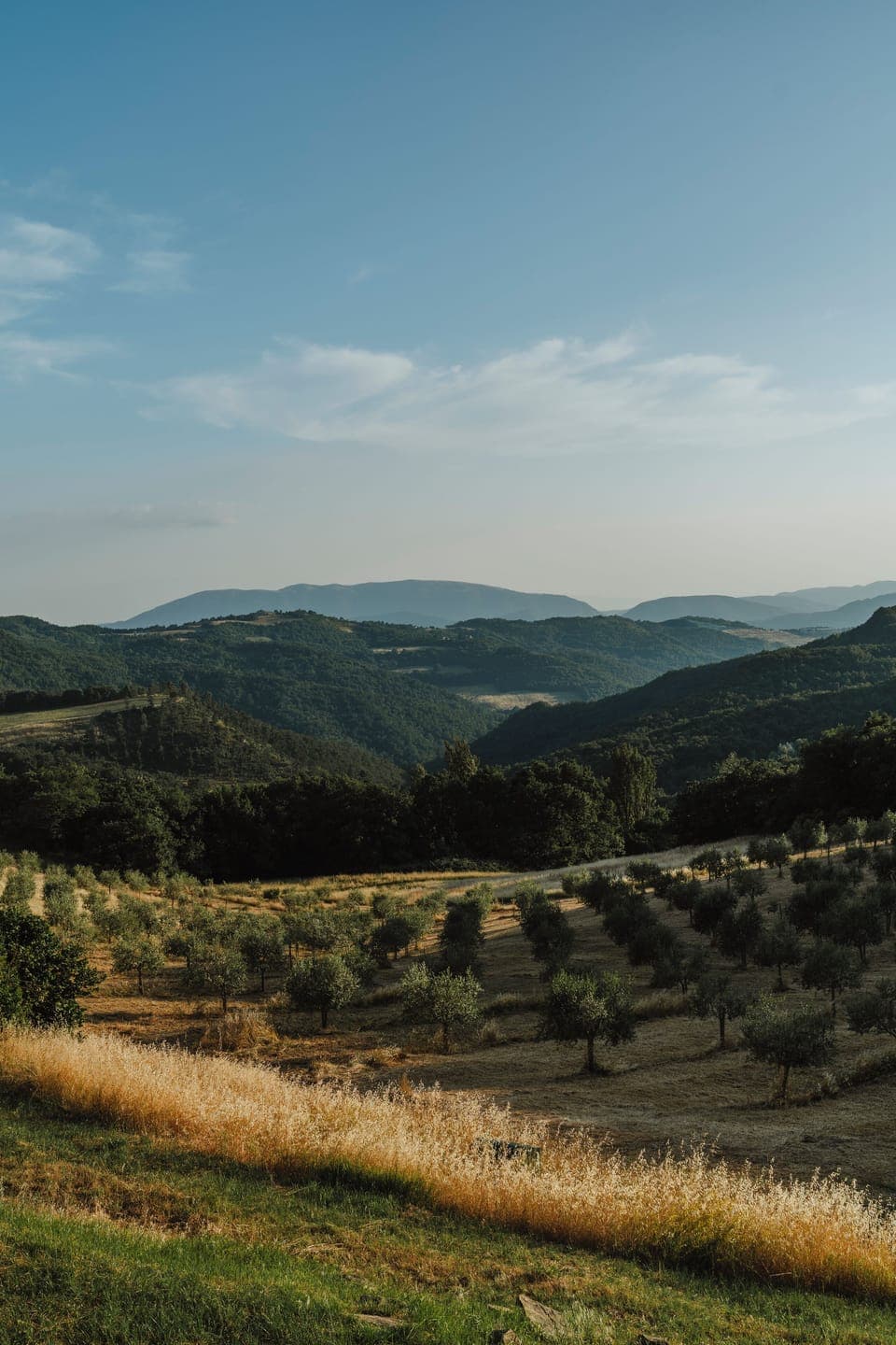 Land view from property