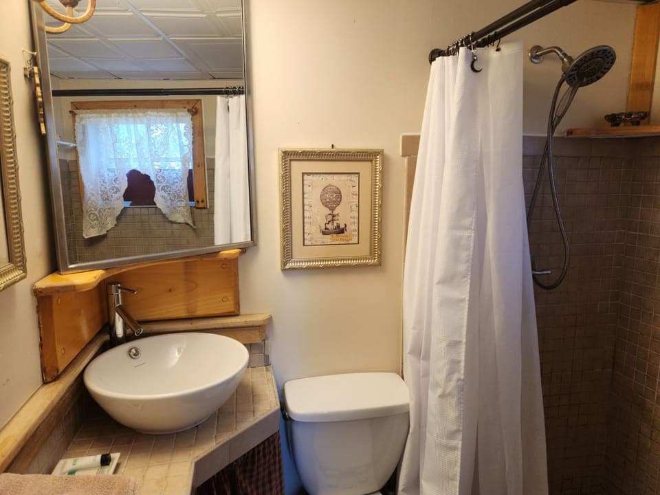 Suite (Trundle) | Bathroom | Shower, free toiletries, hair dryer, towels