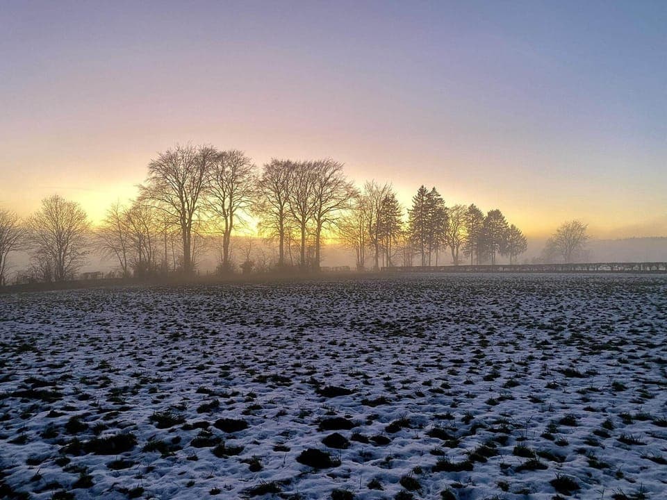 Region [summer] (>5 km)