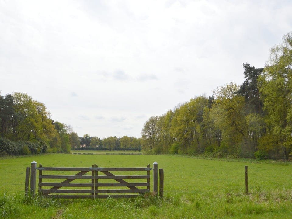 Surroundings [summer] (1-5 km)