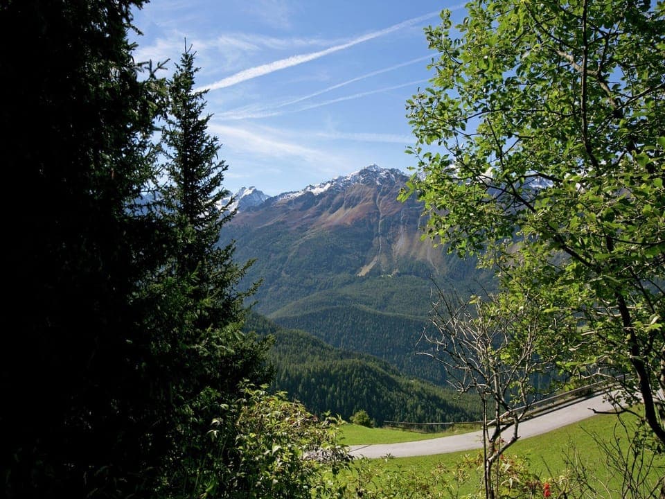 Immediate Surroundings [summer] (<1 km)