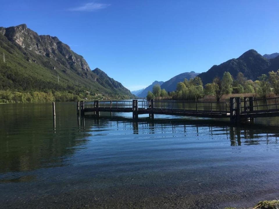 Region [summer] (>5 km)