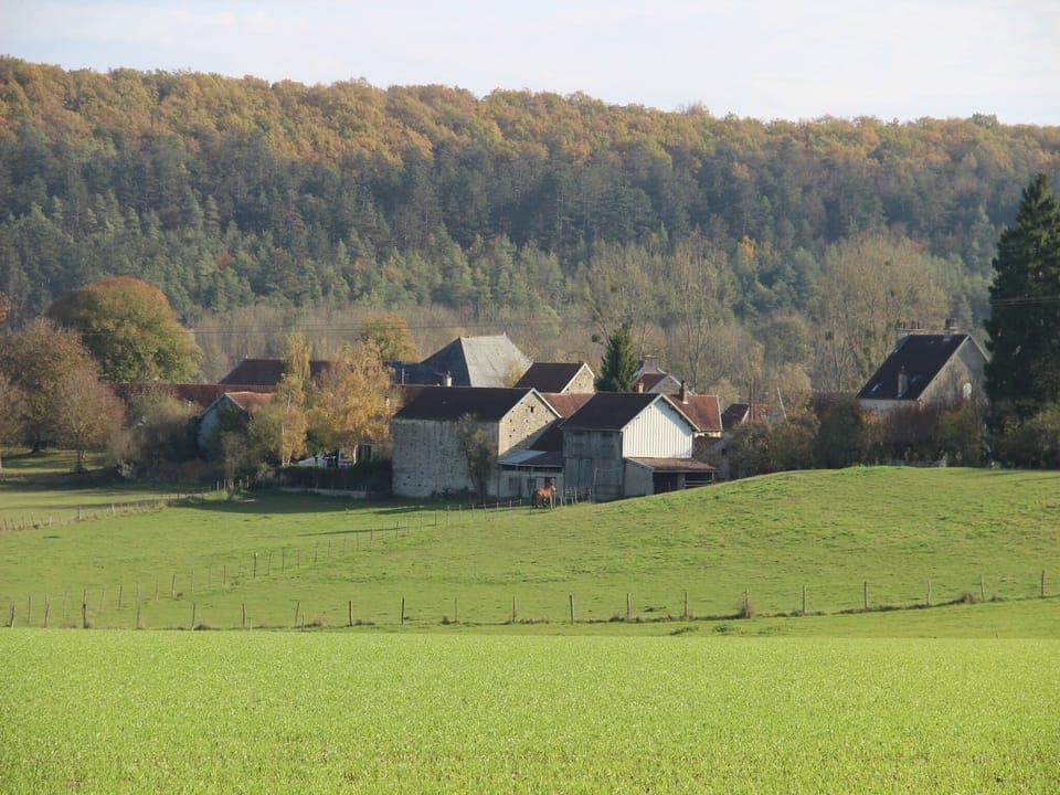 Immediate Surroundings [summer] (<1 km)