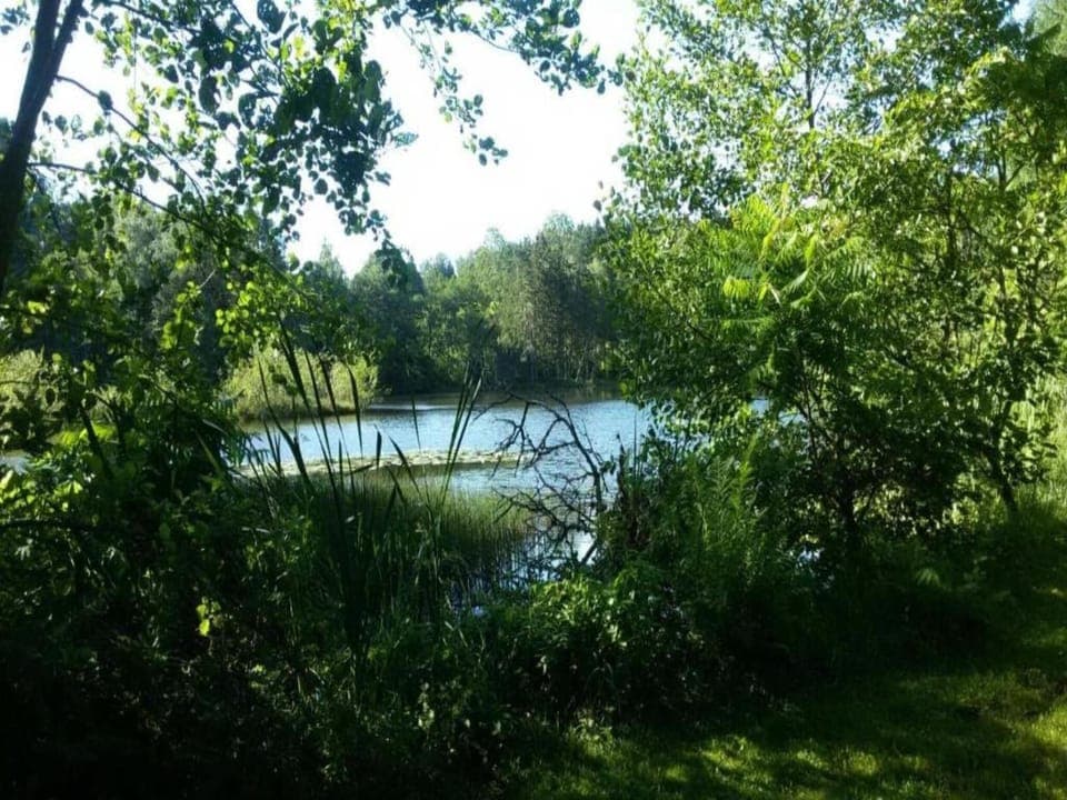 Surroundings [summer] (1-5 km)