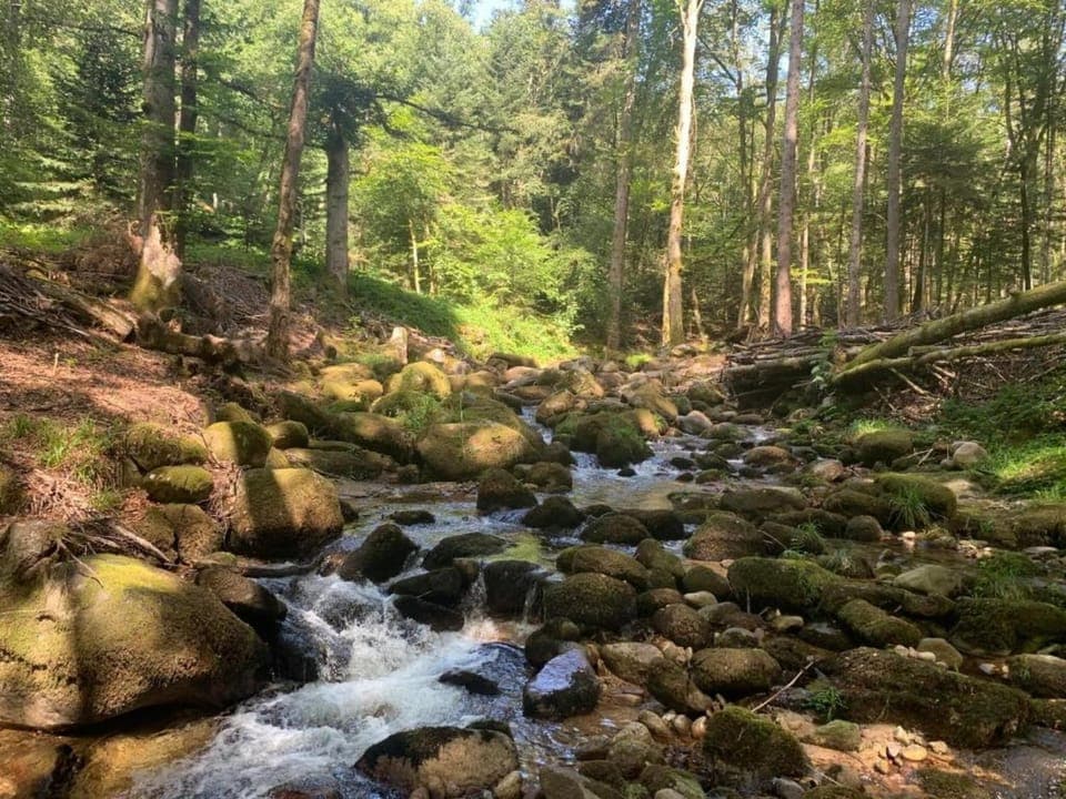 Surroundings [summer] (1-5 km)