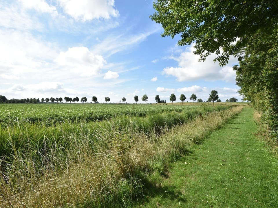 View from Holiday Home [summer]