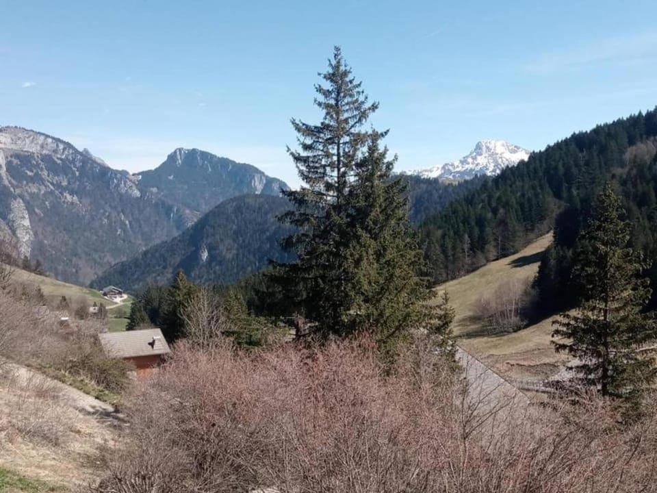 Region [summer] (>5 km)