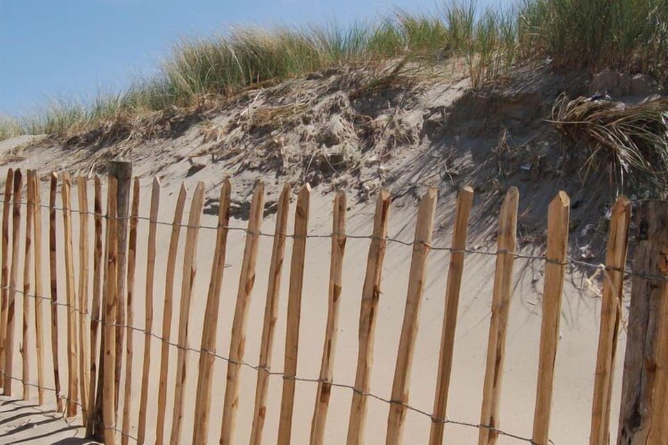 Immediate Surroundings [summer] (<1 km)