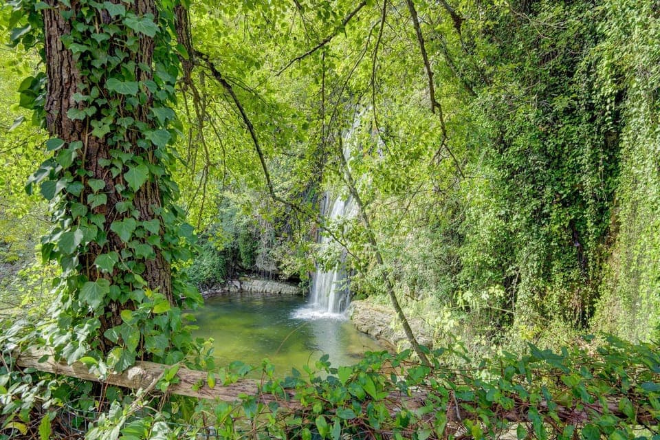 Surroundings [summer] (1-5 km)