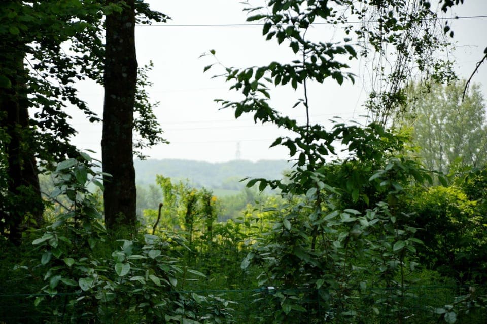 Immediate Surroundings [summer] (<1 km)