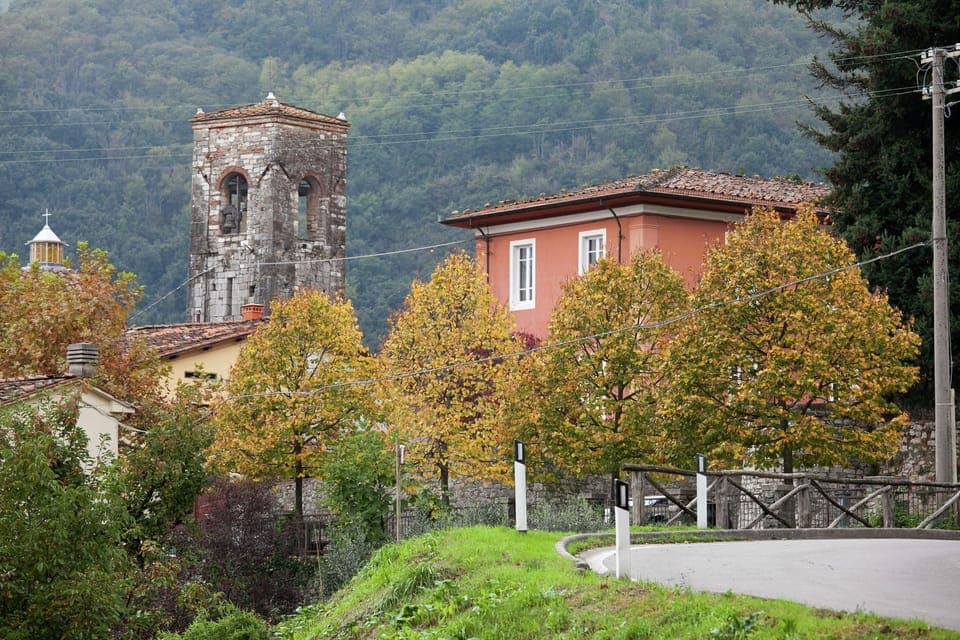 Immediate Surroundings [summer] (<1 km)