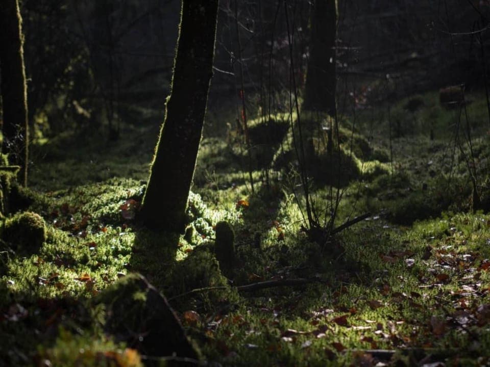 Surroundings [summer] (1-5 km)