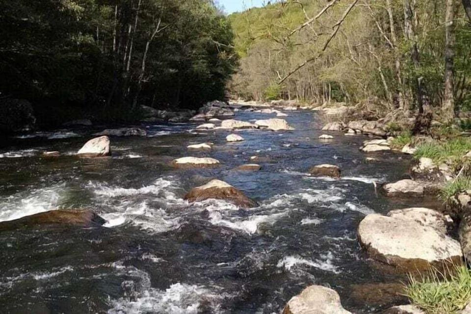 Region [summer] (>5 km)