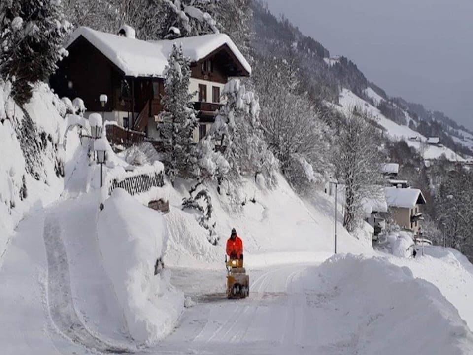 Immediate Surroundings [winter] (<1 km)