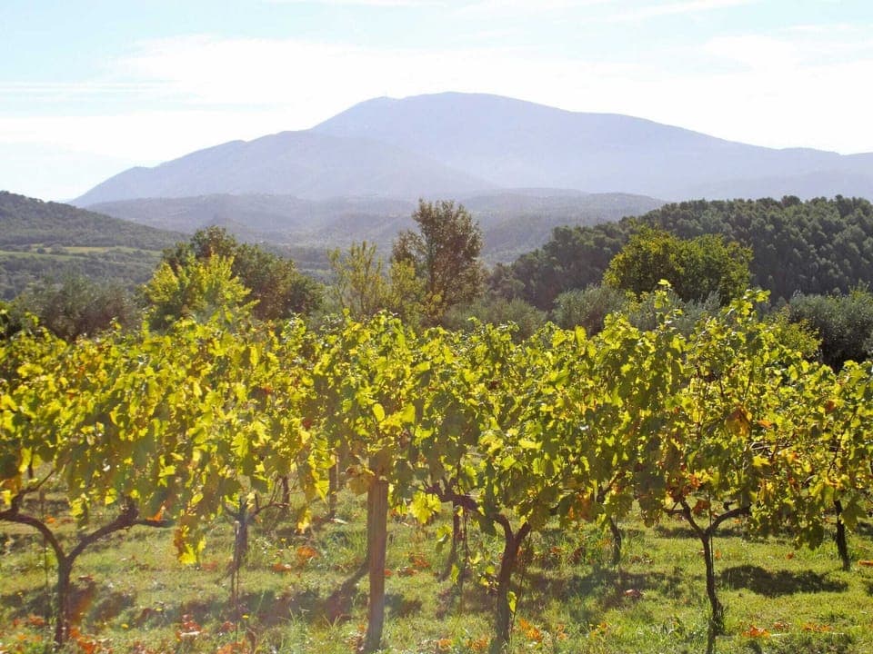 View from Holiday Home [summer]