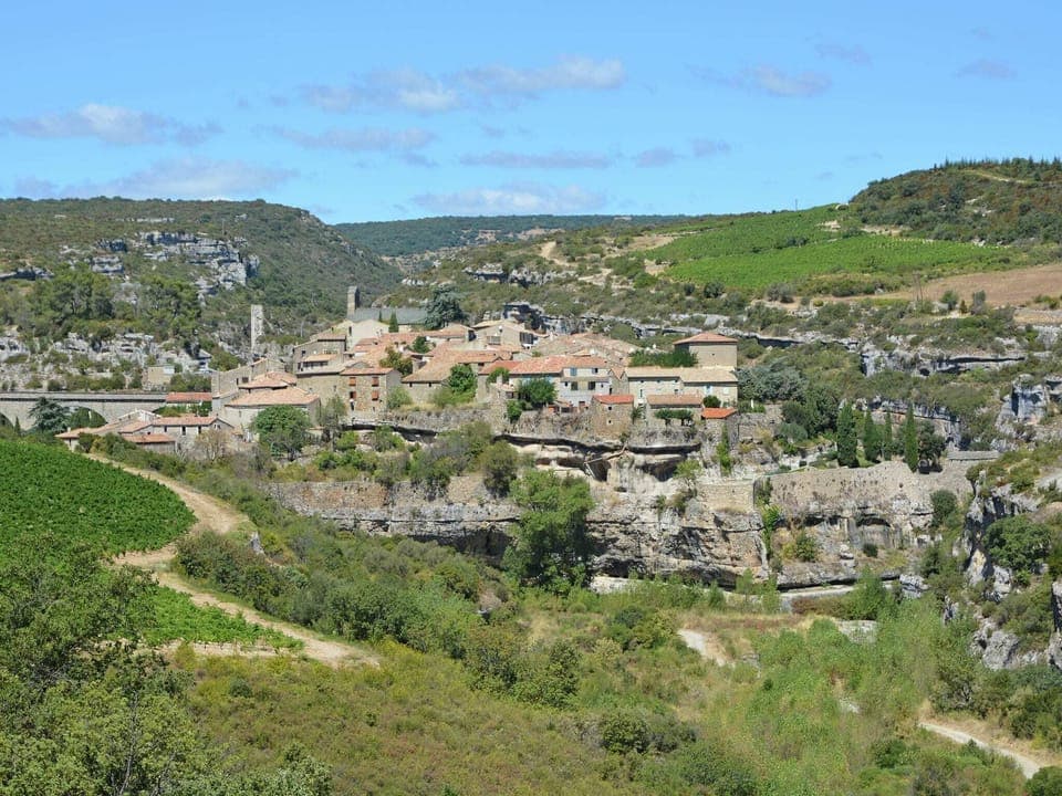 Region [summer] (>5 km)