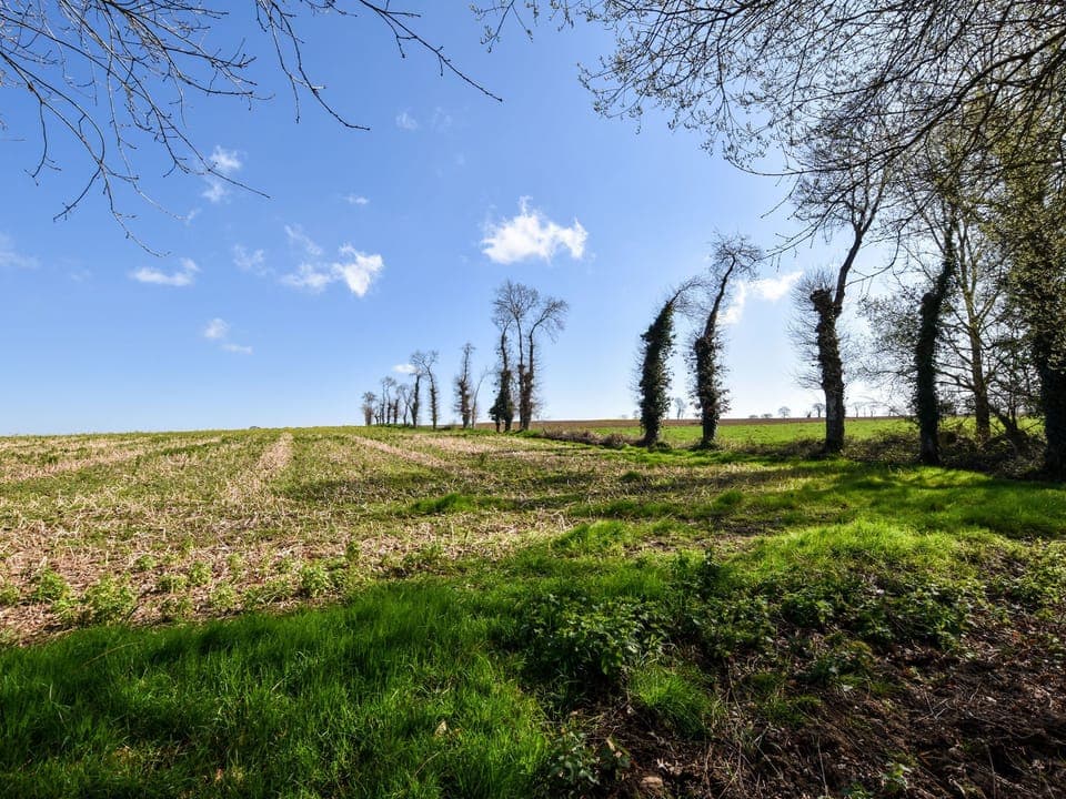 Surroundings [summer] (1-5 km)