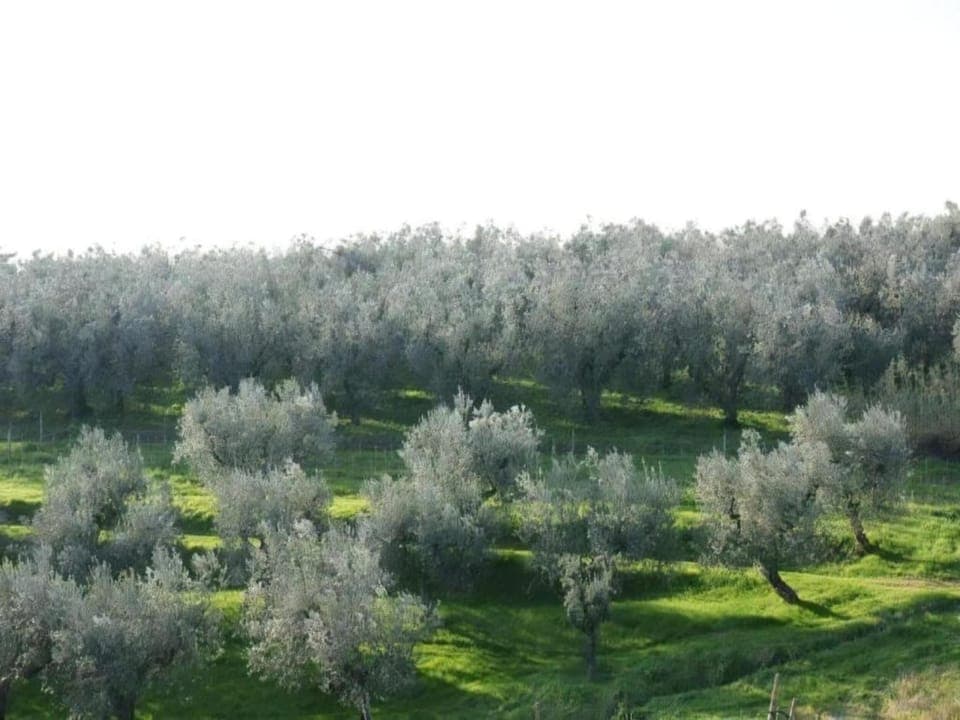 Surroundings [summer] (1-5 km)