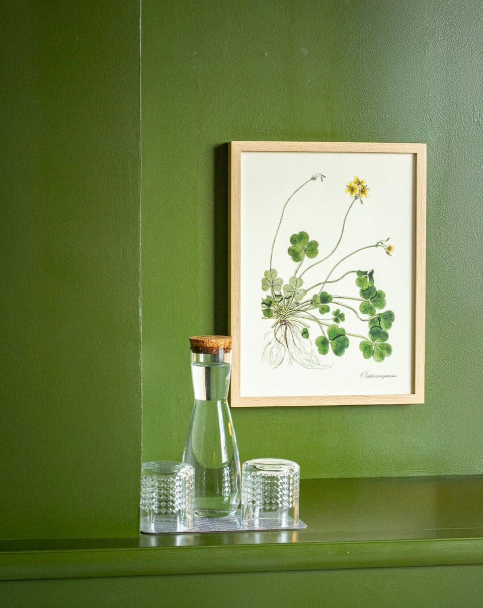 Premium bedding, desk, blackout drapes, soundproofing