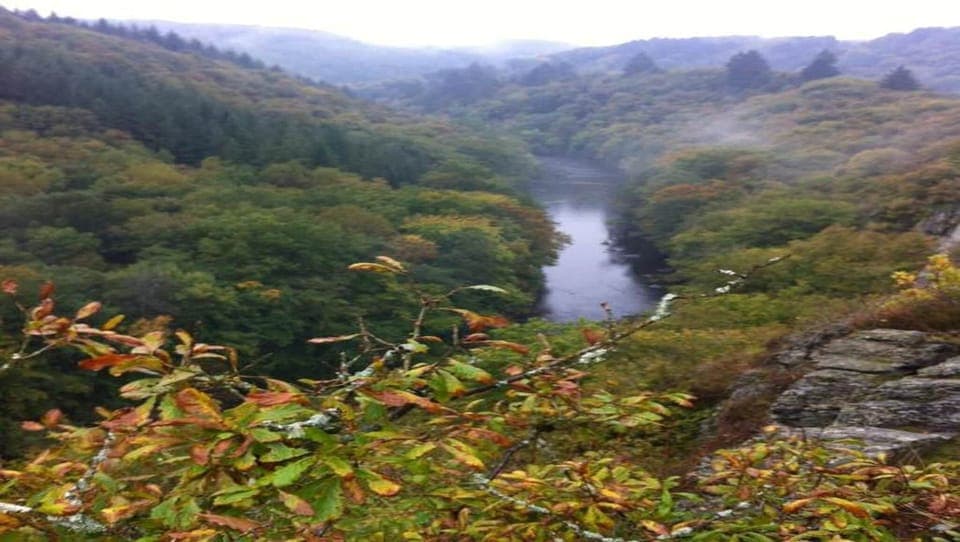 Region [summer] (>5 km)