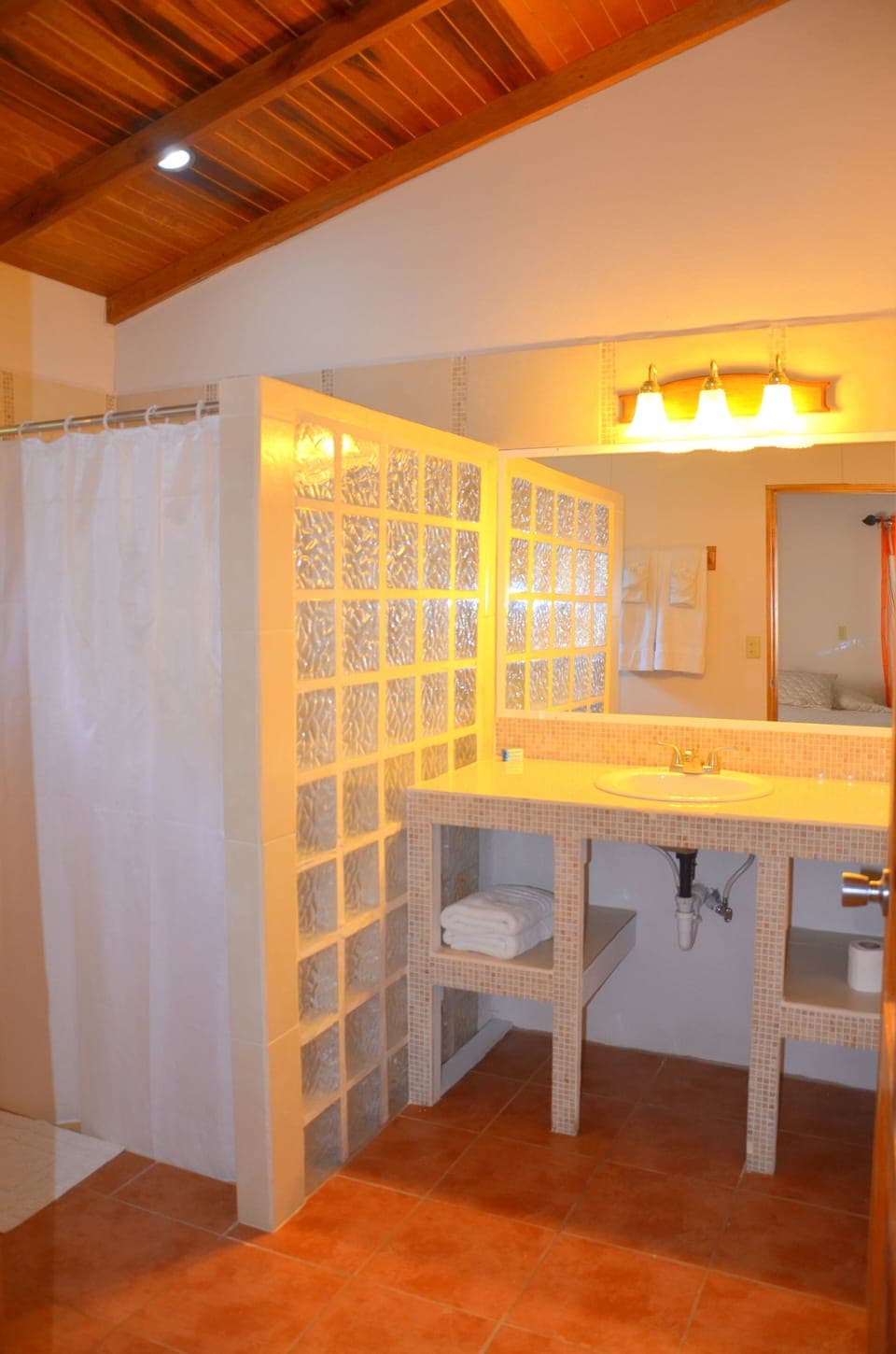 Deluxe Room | Bathroom | Shower, free toiletries, towels, shampoo