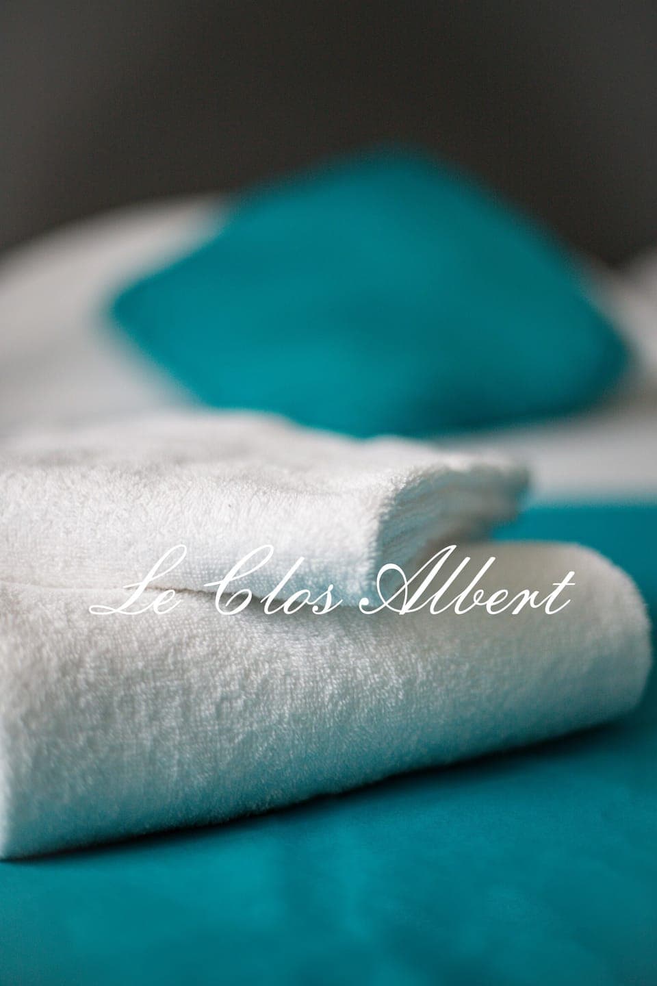 Premium bedding, desk, laptop workspace, free WiFi