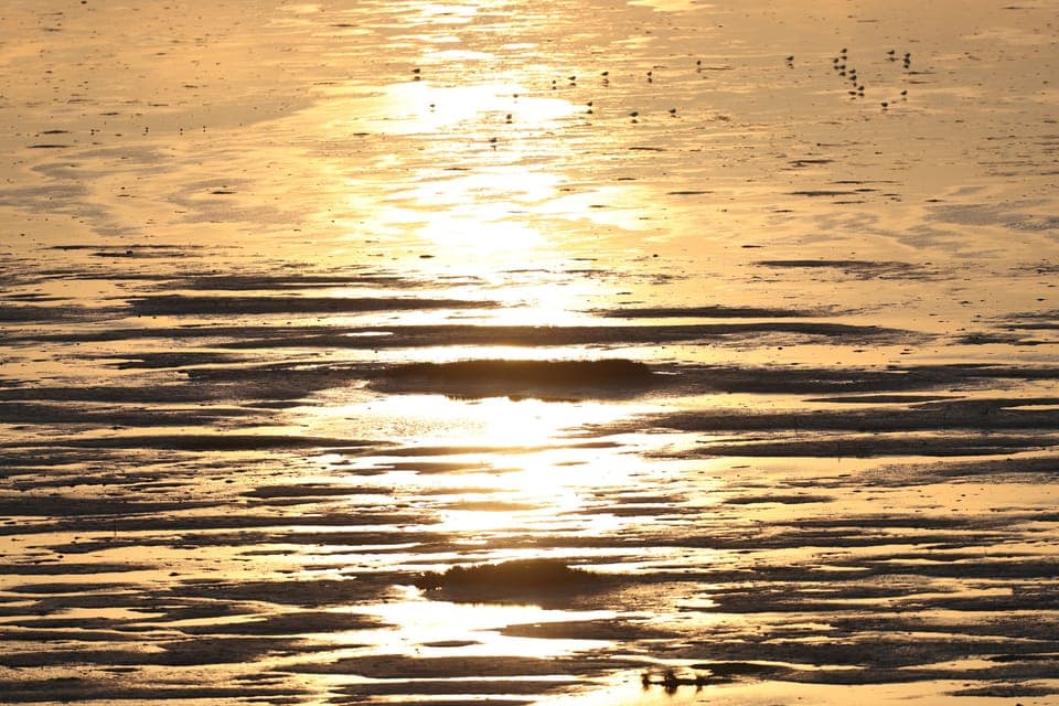 Superior Room, 1 Double Bed | Beach/ocean view