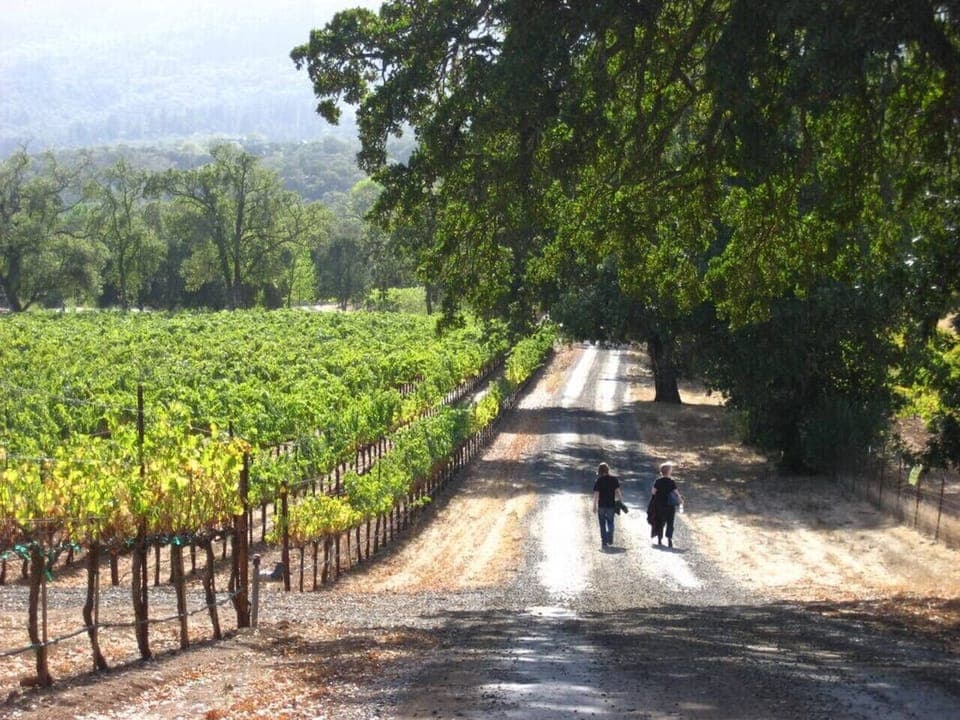 2 for 1 wine tasting passport included