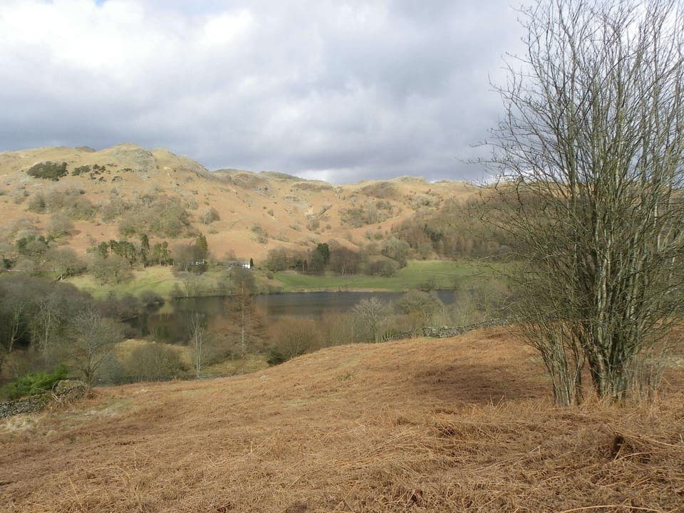 Loughrigg Tarn is just a walk away at the top of the Estate.