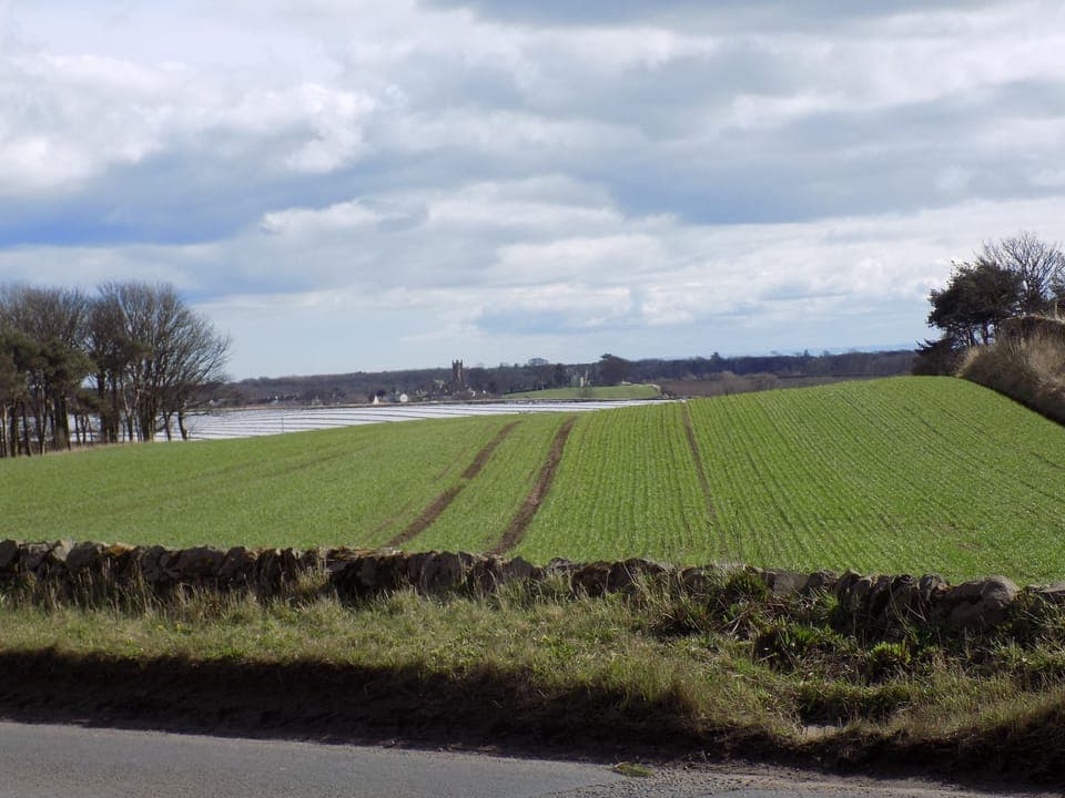 Nearby view to Kilconquhar