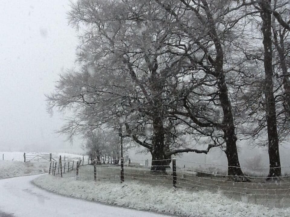 A rare beautiful snowy day