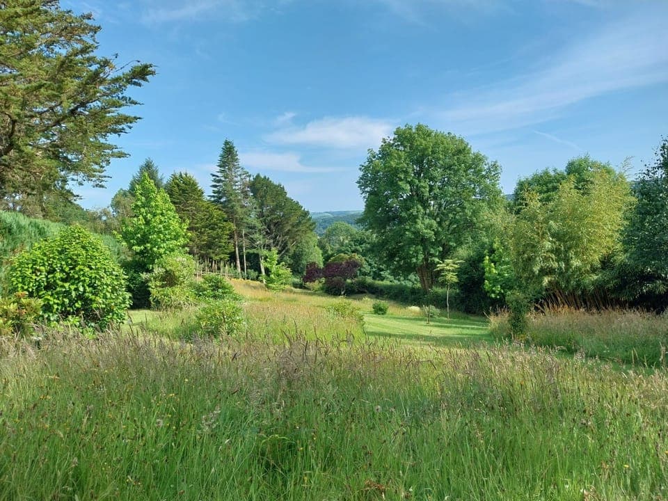 View of the garden from wooden bench that guests can use