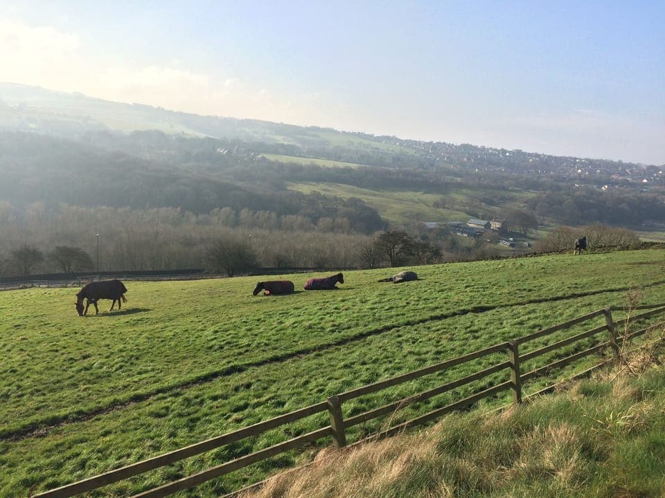 Views of Disley Cheshire