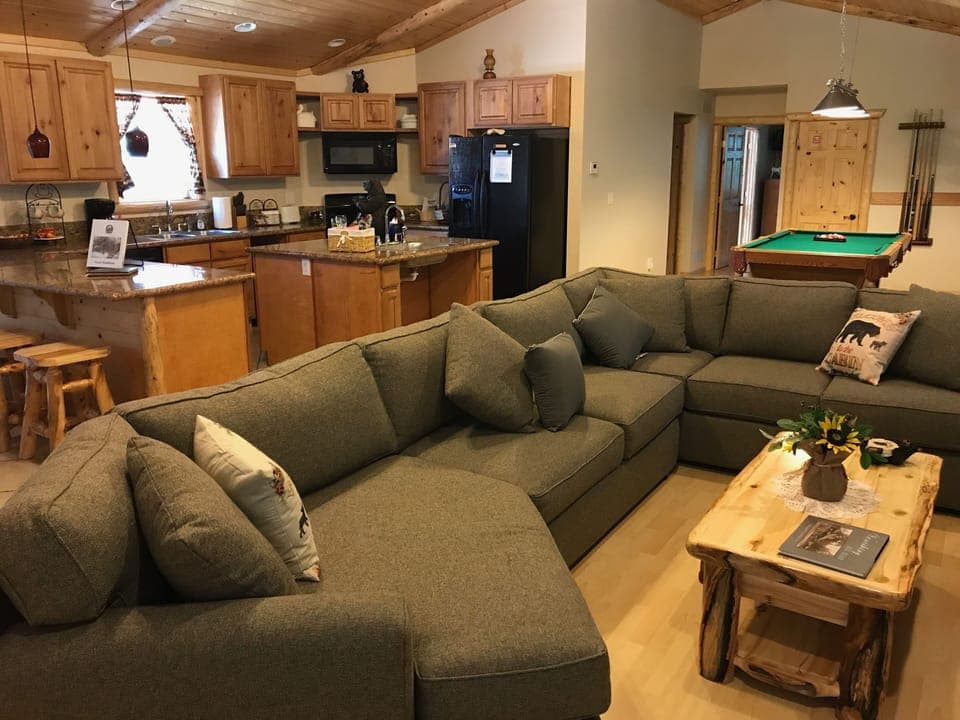 Full Sized Pull Out sofa Bed 