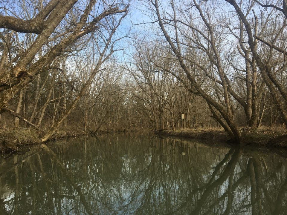 Far reaches up the main feeder stream. Fairly long paddle for avid kayakers.
