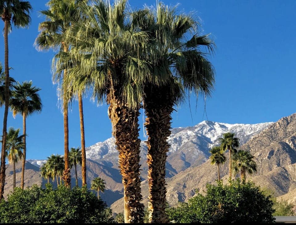 Snow Capped Mountains